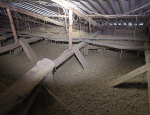 Zateplení stropu rodinného domu pomocí foukané izolace